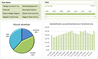 Esimerkki Excel Services -koontinäytöstä