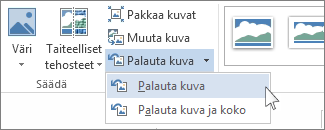 Palauta kuva -komento