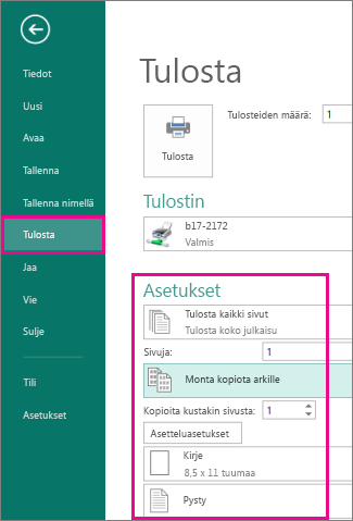 Tarkastele Publisher 2013:n tulostusasetuksia valitsemalla Tiedosto ja sitten Tulosta