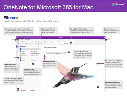 OneNote 2016 for Macin pikaopas