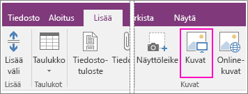 Näyttökuva OneNote 2016:n Lisää kuvia -painikkeesta