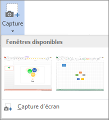 Galerie Capture d’écran