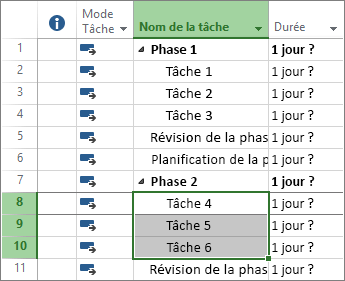 Capture d’écran de tâches mises en évidence dans un plan de projet.