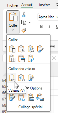 Bouton Coller des valeurs dans la galerie d’options