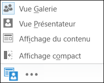 Capture d’écran des différentes options d’affichage possibles, dans laquelle l’option Vue Galerie est sélectionnée