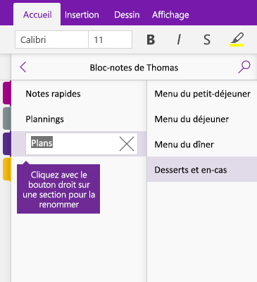 Capture d'écran d'une section en cours de renommage dans OneNote