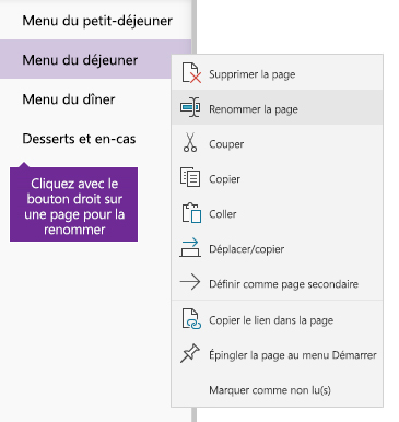 Capture d’écran illustrant l’attribution d’un nouveau nom à une page dans OneNote