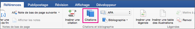 Option Citations mis en évidence sous l’onglet Références