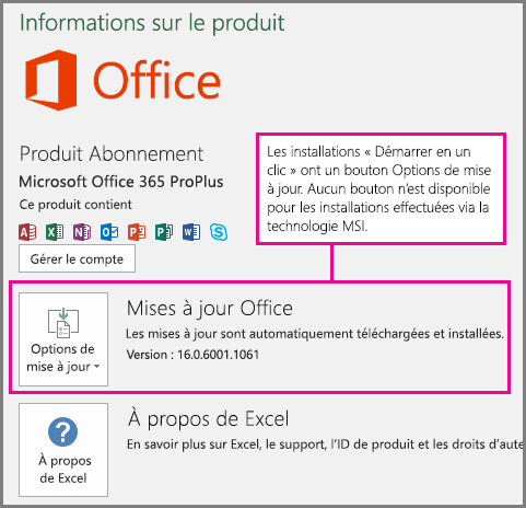 Les installations utilisant la technologie « Démarrer en un clic » incluent un bouton Options de mise à jour dans la page Compte. Aucun bouton n’est disponible pour les installations effectuées via la technologie MSI.