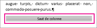 sélection d’un saut de colonne avec l’option « Afficher la mise en forme » activée