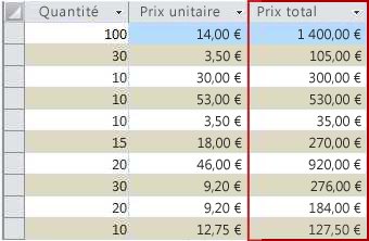 Champ calculé affiché en mode Feuille de données