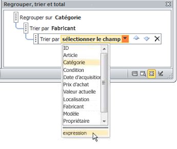 Choix de l’option d’expression dans le volet Regrouper, trier et total