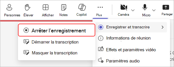 Capture d’écran mettant en évidence comment arrêter l’enregistrement pendant une assemblée