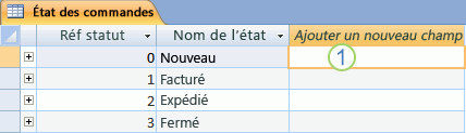 Feuille de données dans Access avec la colonne Ajouter un nouveau champ