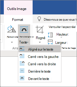 Options d’habillage du texte