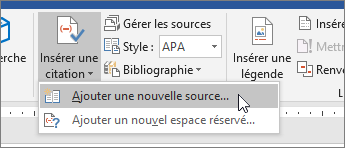 Pointez sur Insérer une citation, puis sélectionnez Ajouter une nouvelle source