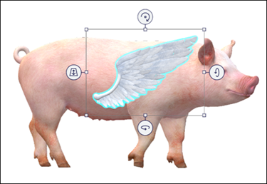 Modèles wing et pig à l’écran.