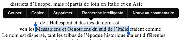 Sélectionnez une expression à rechercher