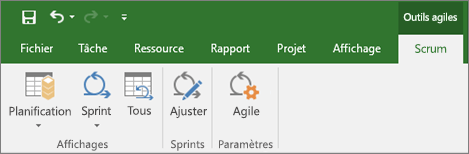 Capture d’écran du ruban de Project affichant l’onglet Outils Agile
