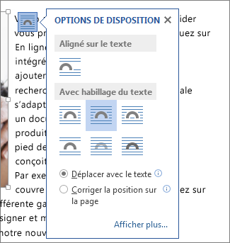 Boîte de dialogue Options de disposition