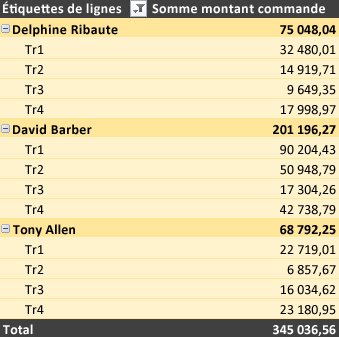 Tableau croisé dynamique mis en forme avec un style différent