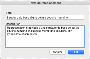 Boîte de dialogue Texte de remplacement pour OneNote sur Mac.