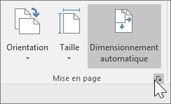 Capture d’écran de la barre d’outils des pages avec sélection de Dimensionnement automatique