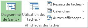 Groupe Affichage des tâches sous l’onglet Affichage.