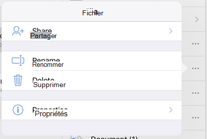 Renommez votre fichier en appuyant sur le bouton 3 points et en sélectionnant Renommer