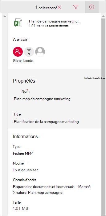 Voir les informations sur le fichier