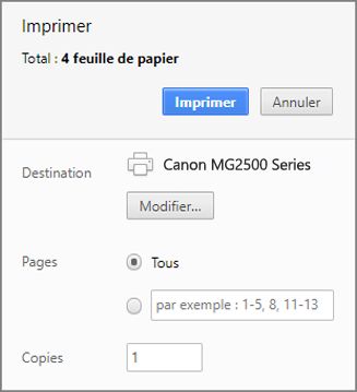 Options du Panneau Imprimer de Chrome