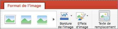 Bouton Texte de remplacement dans le ruban de PowerPoint pour Mac