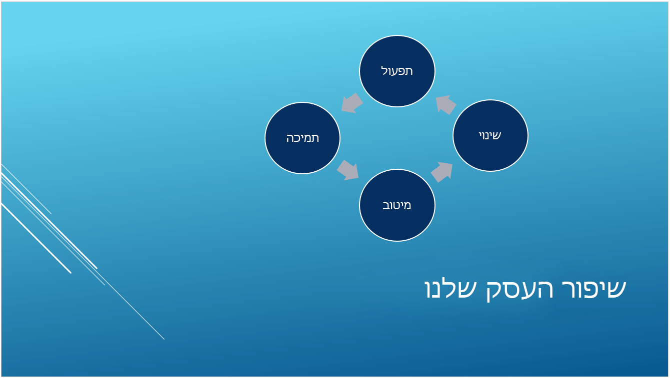 ערכת הנושא הקבועה מראש 'פרוסה'