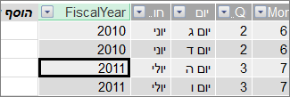 העמודה Fiscal Year