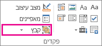 לחצן 'קבץ' במצב מפתחים