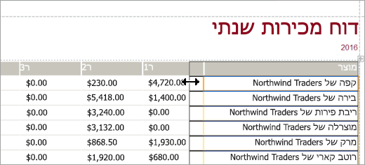 מקטע מסך של דוח מכירות שנתי למוצר