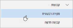 צילום מסך של קבוצה בחלונית הניווט.