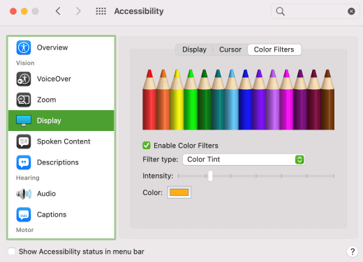 האפשרות 'מסנני צבעים' מופעלת בהגדרות macOS.