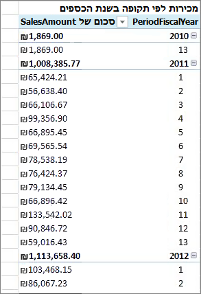 PivotTable לדוגמה עבור שנת הכספים