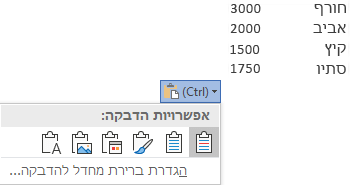 לחצן אפשרויות ההדבקה, לצד חלק מהנתונים של Excel, מורחב כדי להציג את האפשרויות