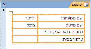 שדות הכלולים בפריסה מוערמת בטופס