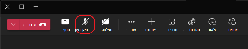 ניהול שמע במהלך פגישה