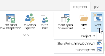 לחצן 'חדש' ברצועת הכלים של מרכז הפרוייקטים