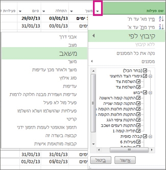 תפריט העמודה 'שם פעילות' עם בחירה באפשרות 'קיבוץ לפי  משאבים'