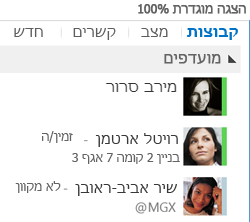 צילום מסך המציג תצוגה המוגדרת לקנה מידה של 100 אחוז