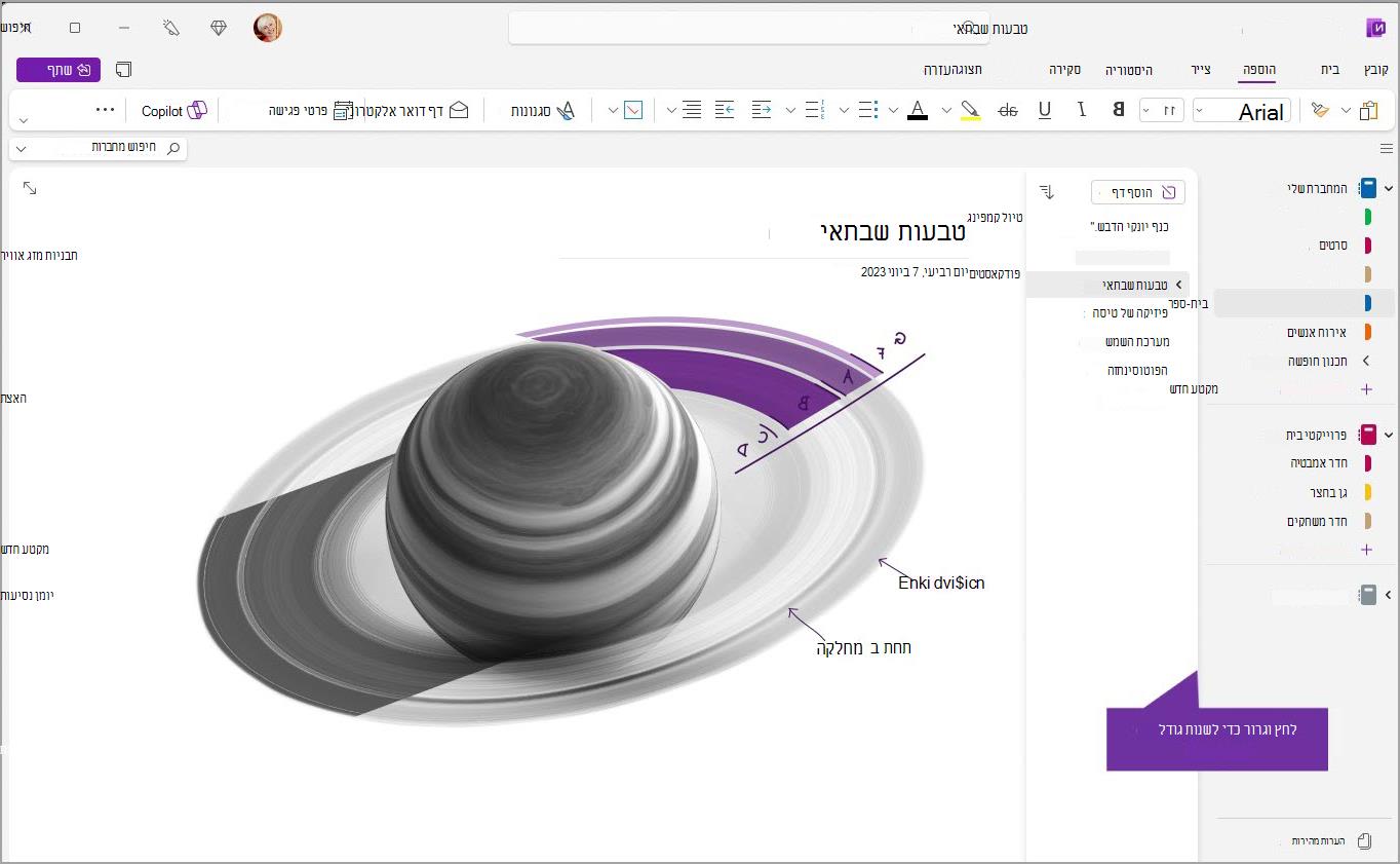 נווט בצילום מסך של onenote עשרים three.jpeg