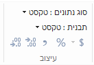 'סוג נתונים' ברצועת הכלים