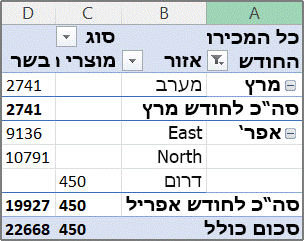 דוח PivotTable לדוגמה