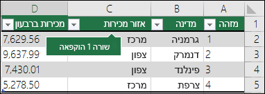 השורה הראשונה נעולה בעת לחיצה על האפשרות 'הקפא שורה עליונה'