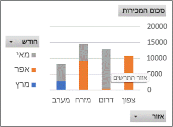 דוח PivotChart לדוגמה